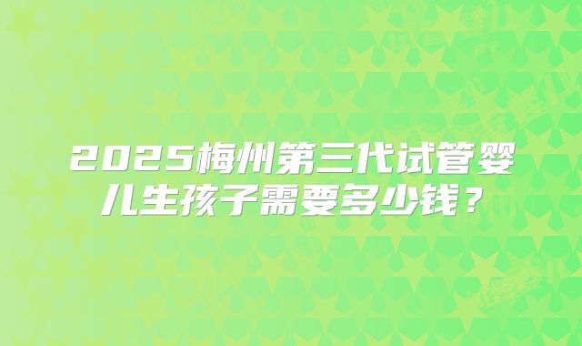 2025梅州第三代试管婴儿生孩子需要多少钱?