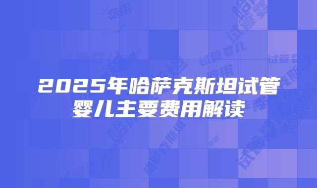 2025年哈萨克斯坦试管婴儿主要费用解读