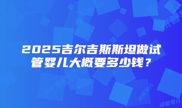 2025吉尔吉斯斯坦做试管婴儿大概要多少钱？