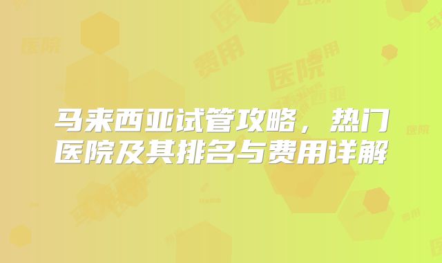 马来西亚试管攻略,热门医院及其排名与费用详解