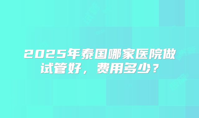 2025年泰国哪家医院做试管好,费用多少?