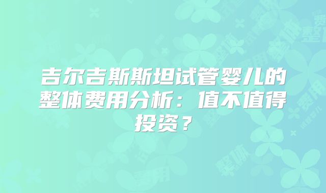 吉尔吉斯斯坦试管婴儿的整体费用分析:值不值得投资?