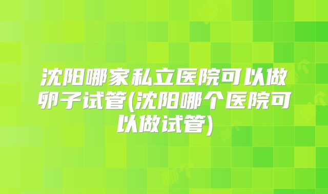 沈阳哪家私立医院可以做卵子试管(沈阳哪个医院可以做试管)