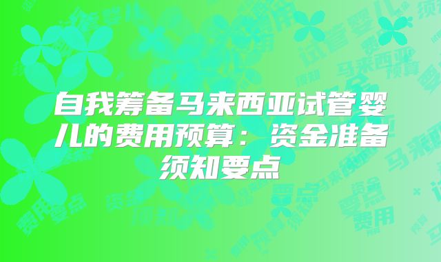 自我筹备马来西亚试管婴儿的费用预算:资金准备须知要点
