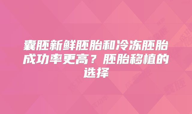 囊胚新鲜胚胎和冷冻胚胎成功率更高?胚胎移植的选择