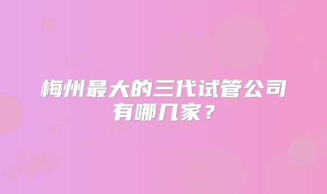 梅州最大的三代试管公司有哪几家?