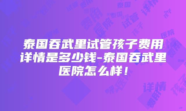 泰国吞武里试管孩子费用详情是多少钱-泰国吞武里医院怎么样!
