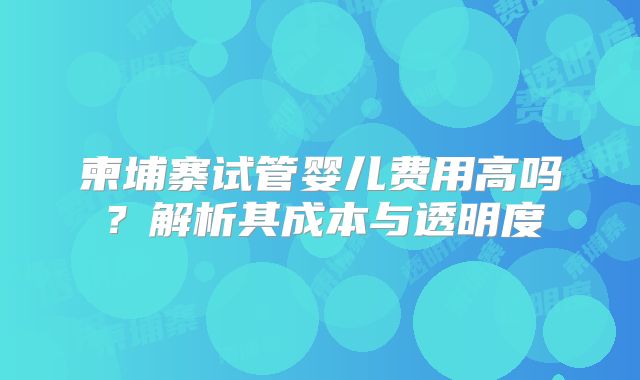 柬埔寨试管婴儿费用高吗?解析其成本与透明度