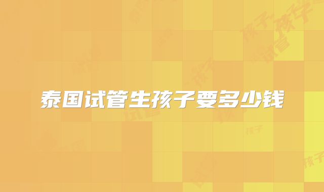 泰国试管生孩子要多少钱