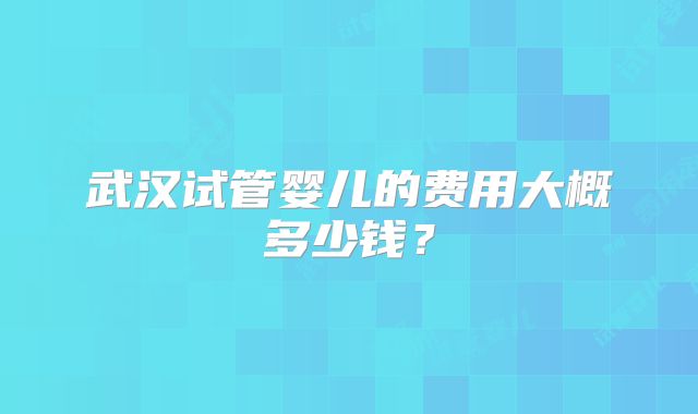 武汉试管婴儿的费用大概多少钱？