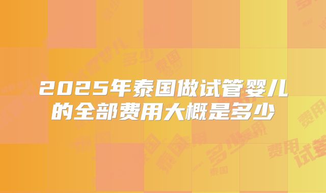 2025年泰国做试管婴儿的全部费用大概是多少