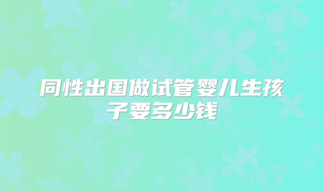 同性出国做试管婴儿生孩子要多少钱