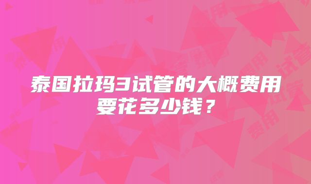 泰国拉玛3试管的大概费用要花多少钱?