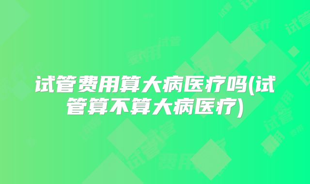 试管费用算大病医疗吗(试管算不算大病医疗)