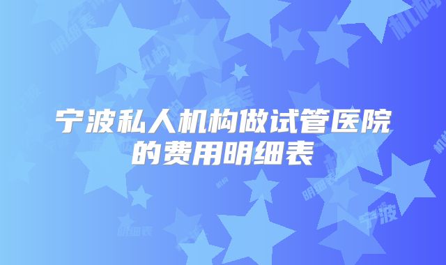 宁波私人机构做试管医院的费用明细表