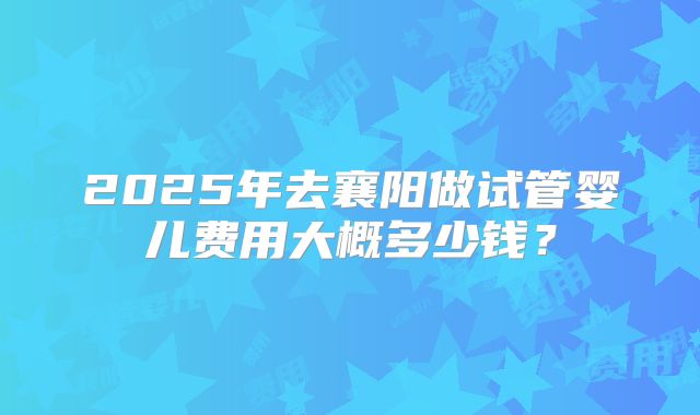 2025年去襄阳做试管婴儿费用大概多少钱？