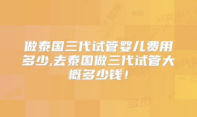 做泰国三代试管婴儿费用多少,去泰国做三代试管大概多少钱！