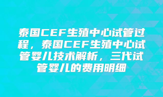 泰国CEF生殖中心试管过程，泰国CEF生殖中心试管婴儿技术解析，三代试管婴儿的费用明细