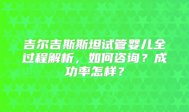 吉尔吉斯斯坦试管婴儿全过程解析,如何咨询?成功率怎样?