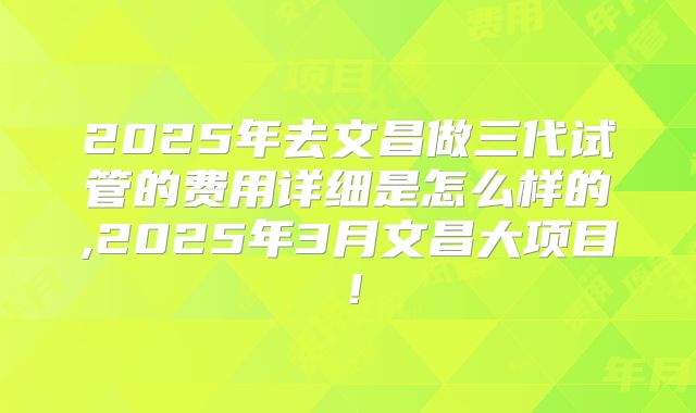 2025年去文昌做三代试管的费用详细是怎么样的,2025年3月文昌大项目！