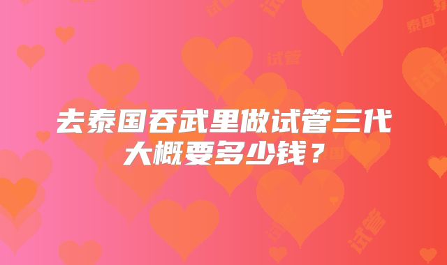 去泰国吞武里做试管三代大概要多少钱？