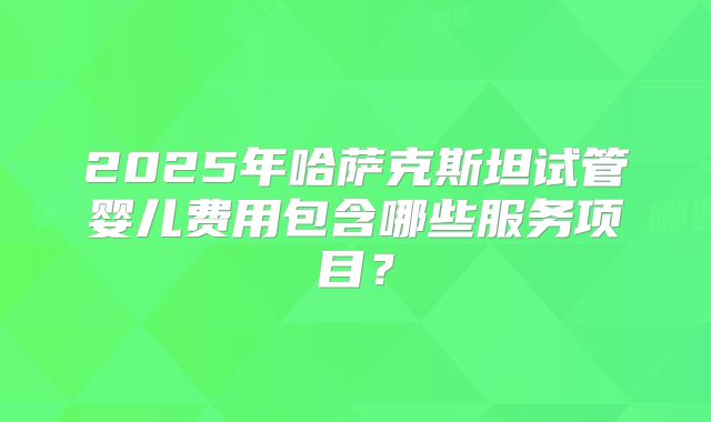 2025年哈萨克斯坦试管婴儿费用包含哪些服务项目?