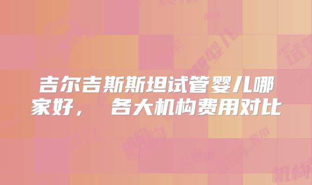 吉尔吉斯斯坦试管婴儿哪家好, 各大机构费用对比