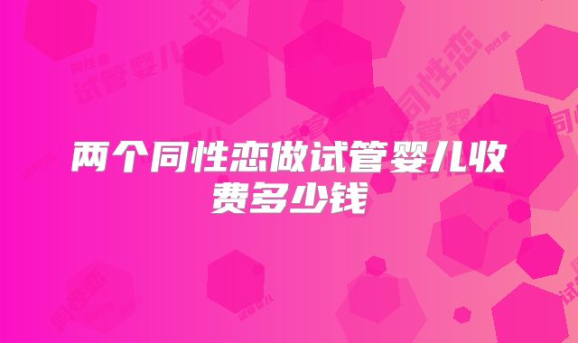 两个同性恋做试管婴儿收费多少钱