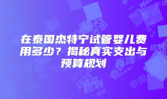 在泰国杰特宁试管婴儿费用多少?揭秘真实支出与预算规划