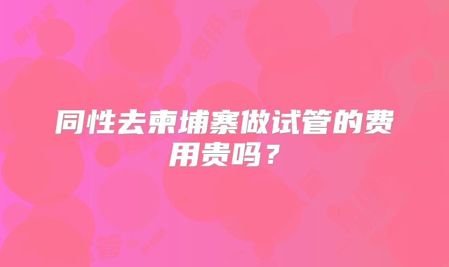 同性去柬埔寨做试管的费用贵吗?