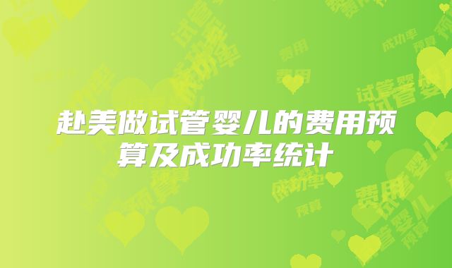 赴美做试管婴儿的费用预算及成功率统计