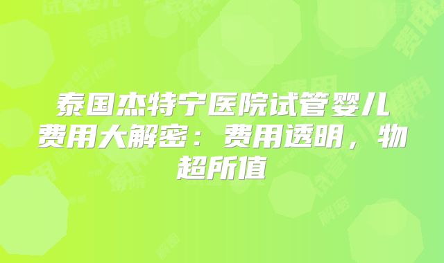 泰国杰特宁医院试管婴儿费用大解密:费用透明,物超所值