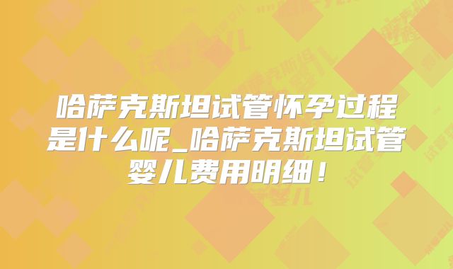 哈萨克斯坦试管怀孕过程是什么呢_哈萨克斯坦试管婴儿费用明细！