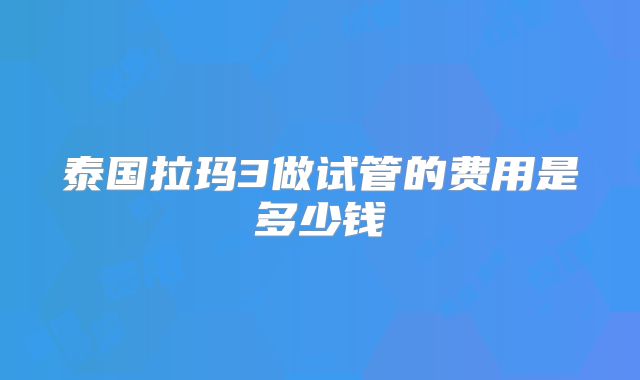 泰国拉玛3做试管的费用是多少钱