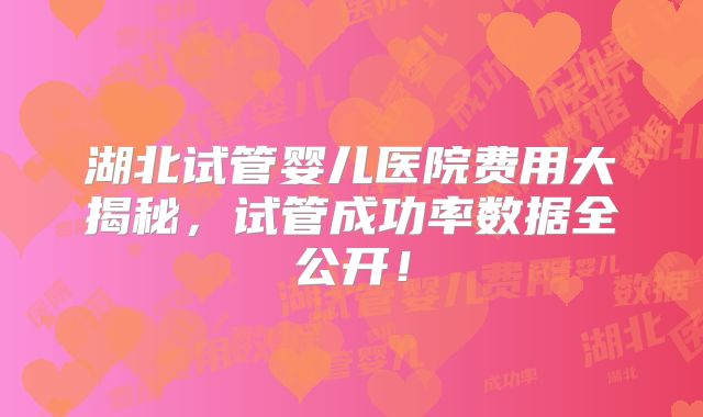 湖北试管婴儿医院费用大揭秘,试管成功率数据全公开!