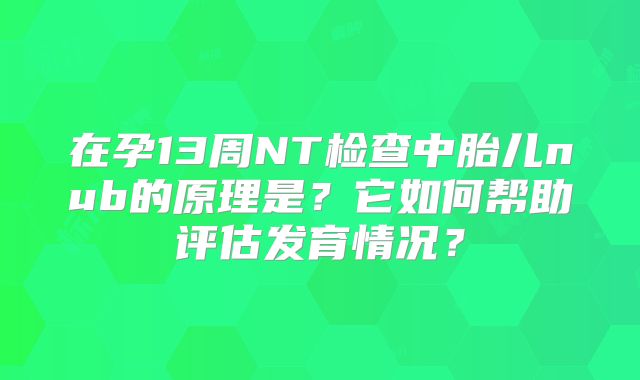 在孕13周NT检查中胎儿nub的原理是？它如何帮助评估发育情况？