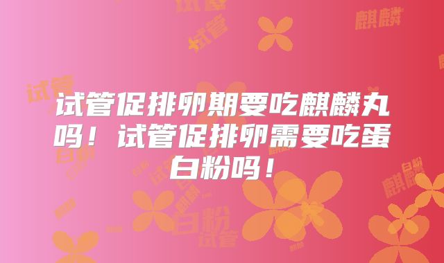 试管促排卵期要吃麒麟丸吗!试管促排卵需要吃蛋白粉吗!