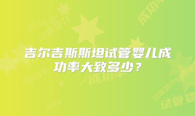吉尔吉斯斯坦试管婴儿成功率大致多少？