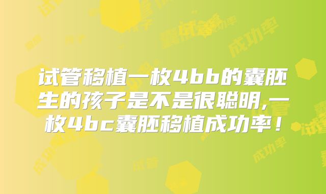 试管移植一枚4bb的囊胚生的孩子是不是很聪明,一枚4bc囊胚移植成功率!