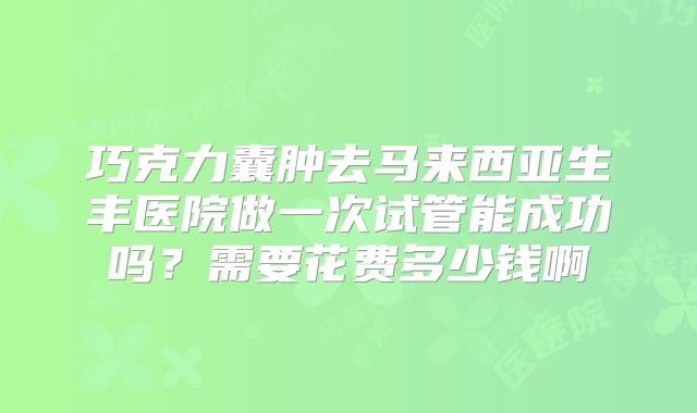 巧克力囊肿去马来西亚生丰医院做一次试管能成功吗？需要花费多少钱啊