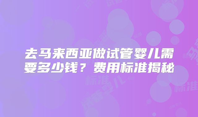 去马来西亚做试管婴儿需要多少钱？费用标准揭秘