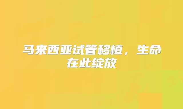 马来西亚试管移植,生命在此绽放