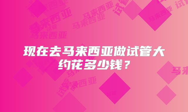 现在去马来西亚做试管大约花多少钱？