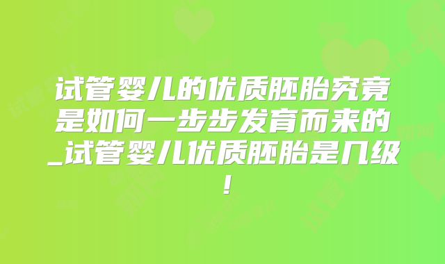 试管婴儿的优质胚胎究竟是如何一步步发育而来的_试管婴儿优质胚胎是几级!