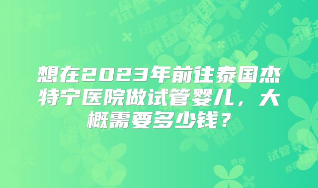 想在2023年前往泰国杰特宁医院做试管婴儿,大概需要多少钱?