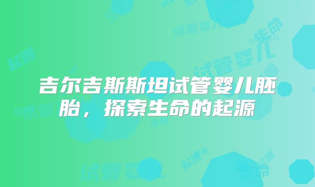 吉尔吉斯斯坦试管婴儿胚胎，探索生命的起源