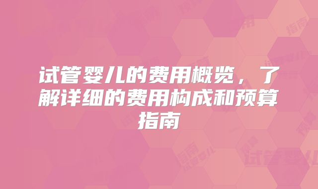试管婴儿的费用概览,了解详细的费用构成和预算指南