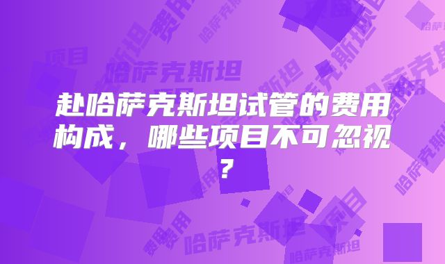 赴哈萨克斯坦试管的费用构成,哪些项目不可忽视?