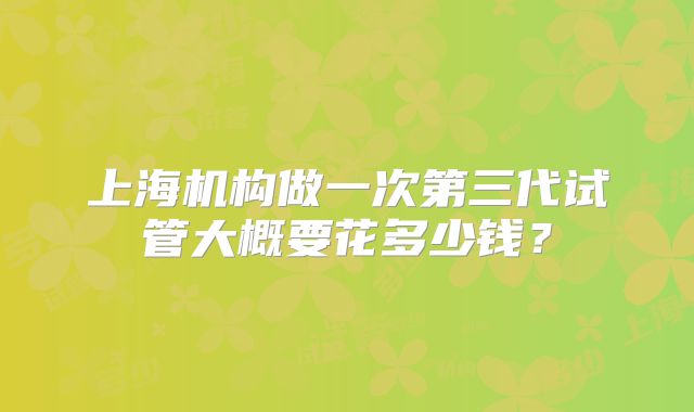 上海机构做一次第三代试管大概要花多少钱？