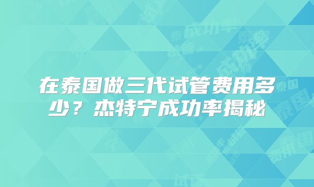 在泰国做三代试管费用多少?杰特宁成功率揭秘